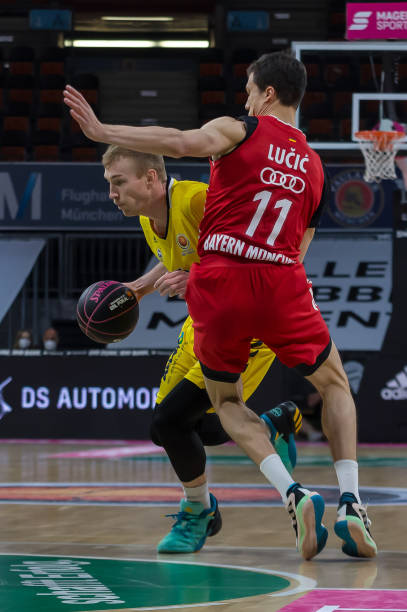 进高质量的 进高质量的